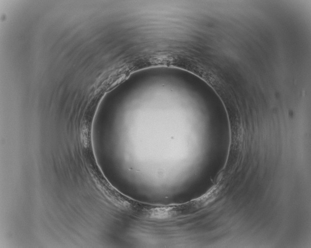 X0000057090090200509161640