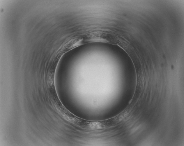 X0000057090091200509161640