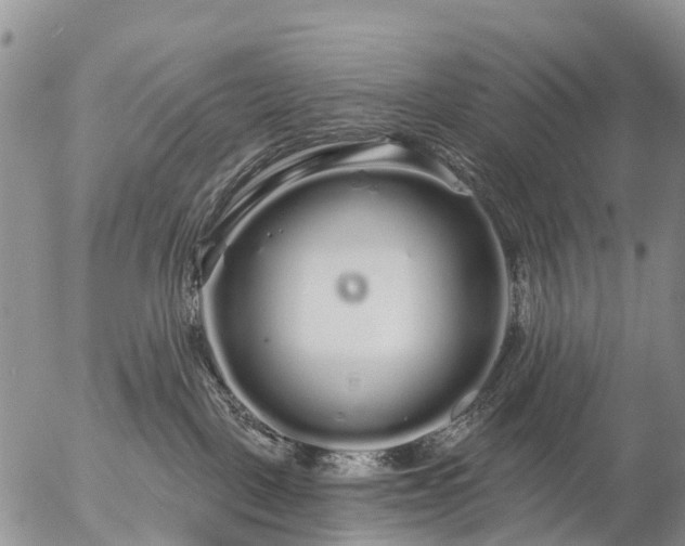 X0000057090093200509161640