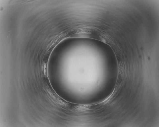 X0000057090094200509161640