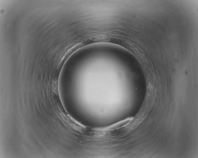 X0000057090096200509161640