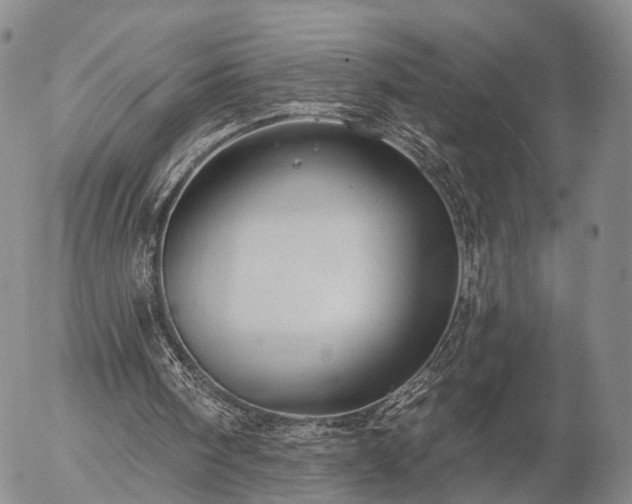 X0000057090098200509161639