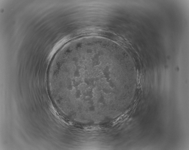 X0000057090099200509161639