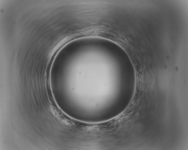 X0000057090100200509161639