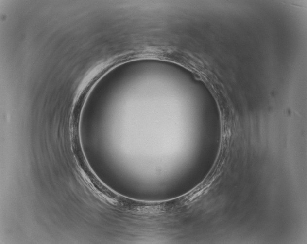 X0000057090102200509161639