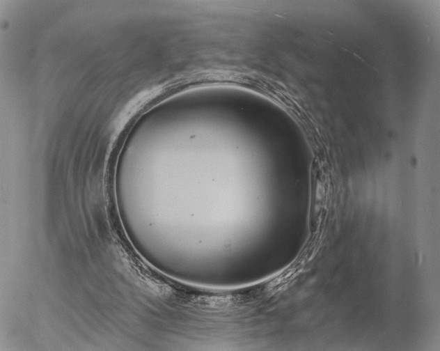 X0000057090104200509161639