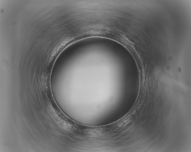 X0000057090106200509161639