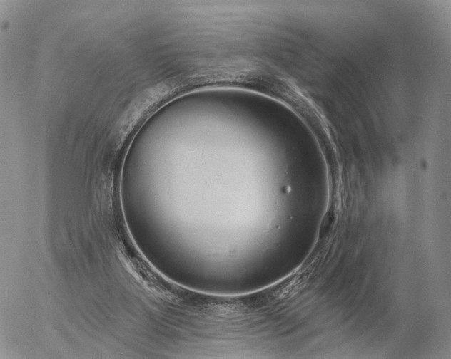 X0000057090107200509161639