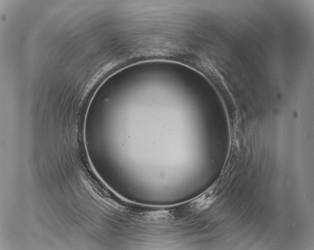 X0000057090108200509161639