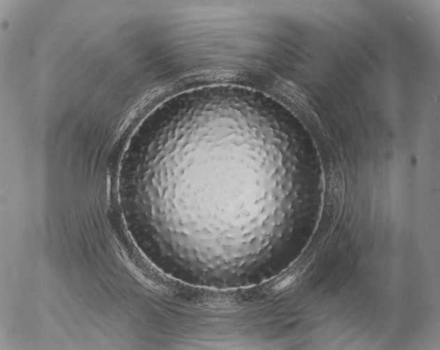 X0000057090110200509161639