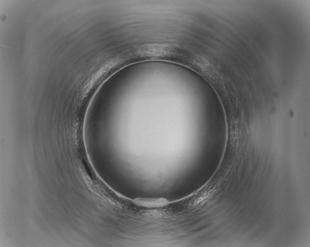 X0000057090111200509161639