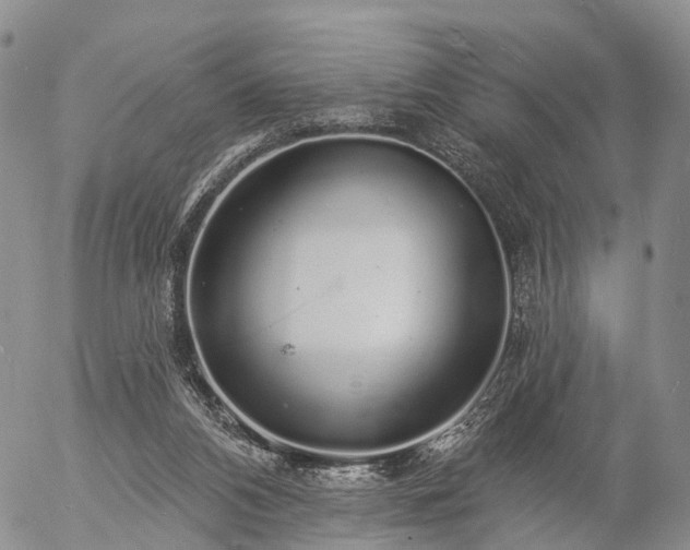 X0000057090112200509161639