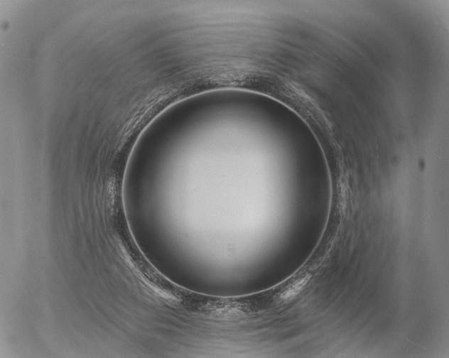 X0000057090113200509161639