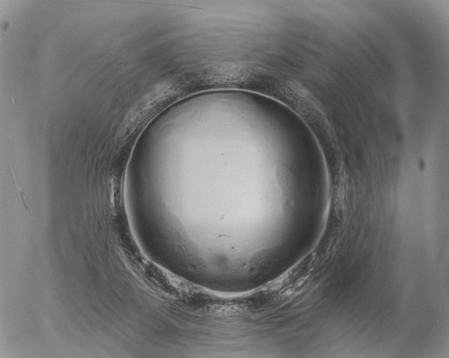 X0000057090115200509161639