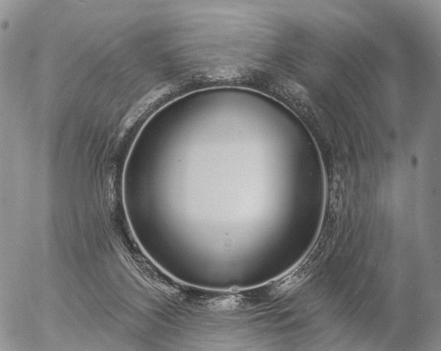 X0000057090116200509161639