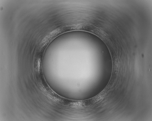 X0000057090118200509161639