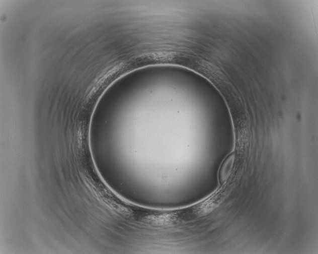 X0000057090120200509161639