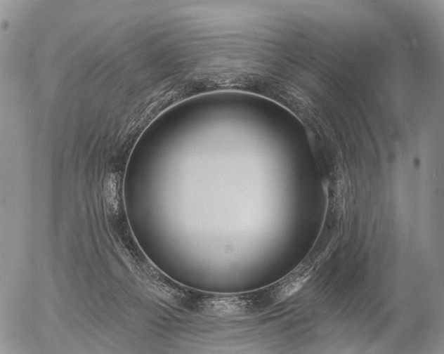 X0000057090121200509161639