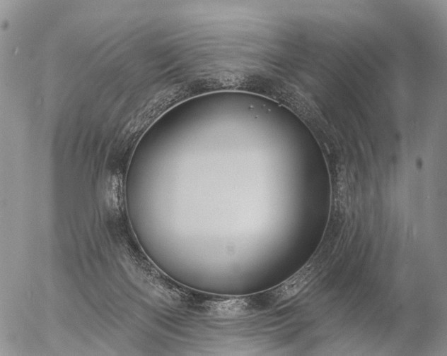 X0000057090122200509161639