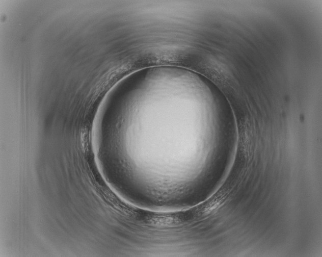 X0000057090123200509161639