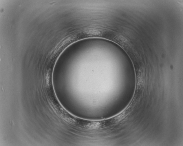 X0000057090124200509161639