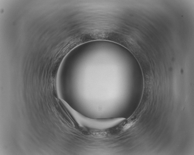 X0000057090125200509161639