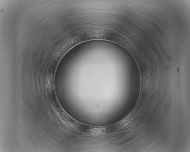 X0000057090126200509161639