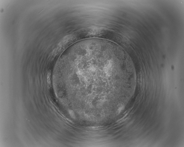 X0000057090127200509161639