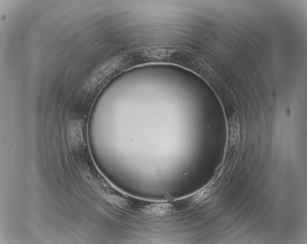 X0000057090128200509161639