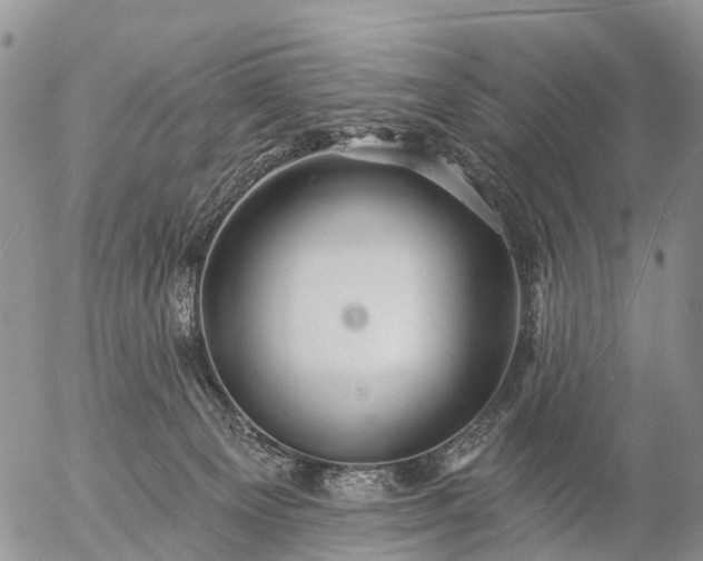 X0000057090129200509161639