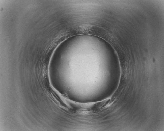 X0000057090131200509161639