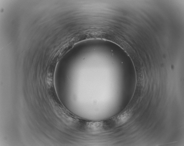 X0000057090135200509161639