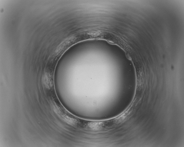 X0000057090136200509161639