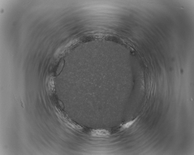 X0000057090137200509161639