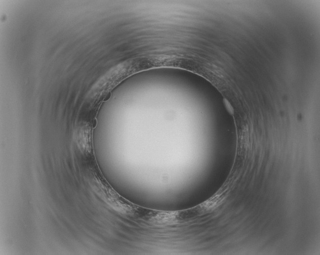 X0000057090138200509161639