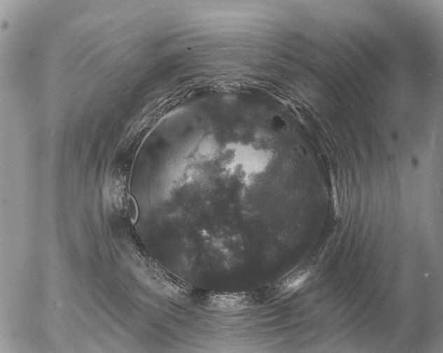 X0000057090139200509161639