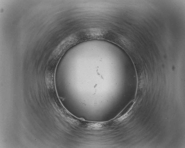 X0000057090140200509161639