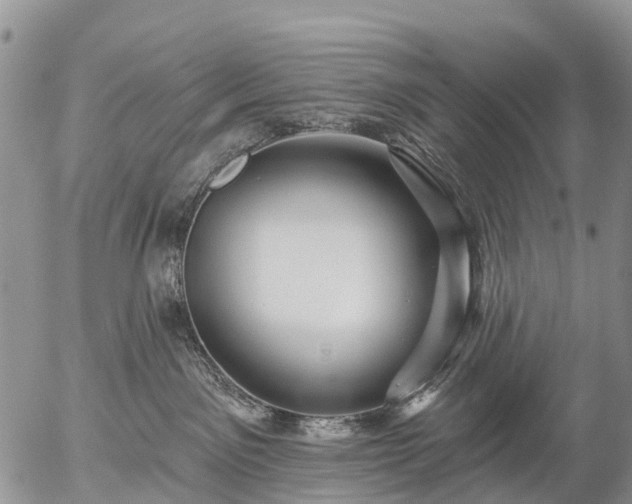 X0000057090141200509161639