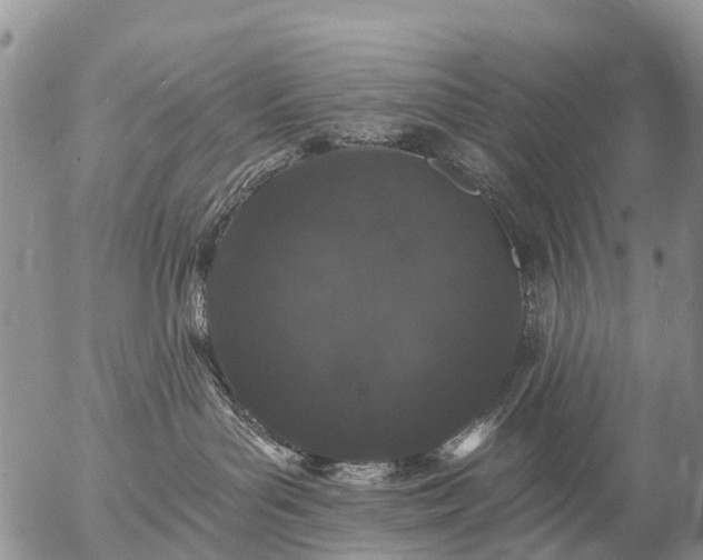 X0000057090143200509161639