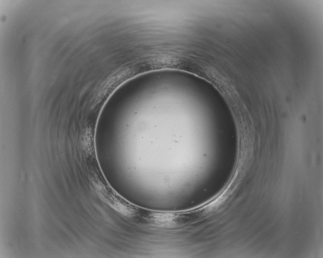 X0000057090144200509161639