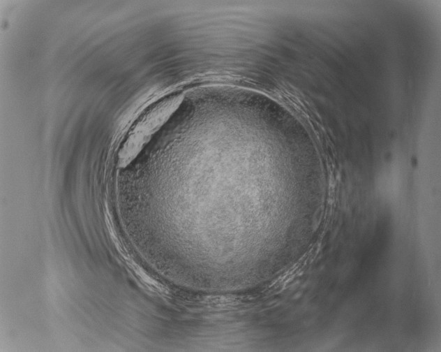 X0000057090145200509161638