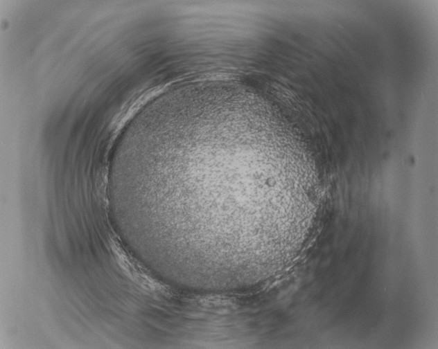 X0000057090146200509161638