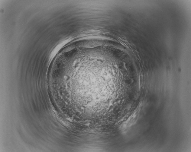 X0000057090147200509161638