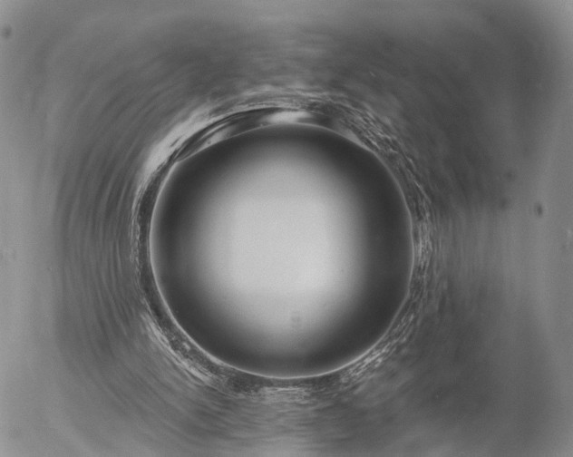 X0000057090150200509161638