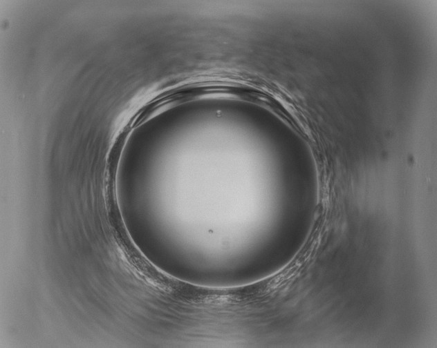 X0000057090152200509161638