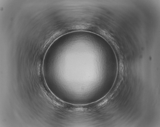 X0000057090153200509161638