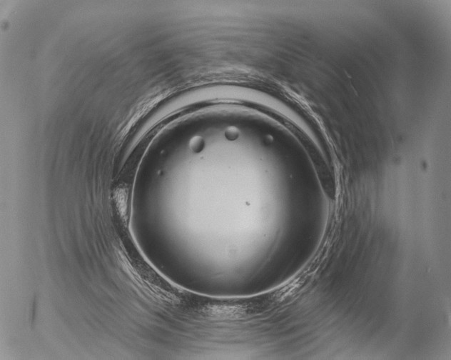 X0000057090154200509161638