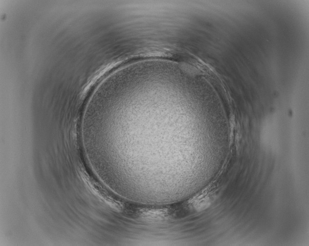 X0000057090155200509161638