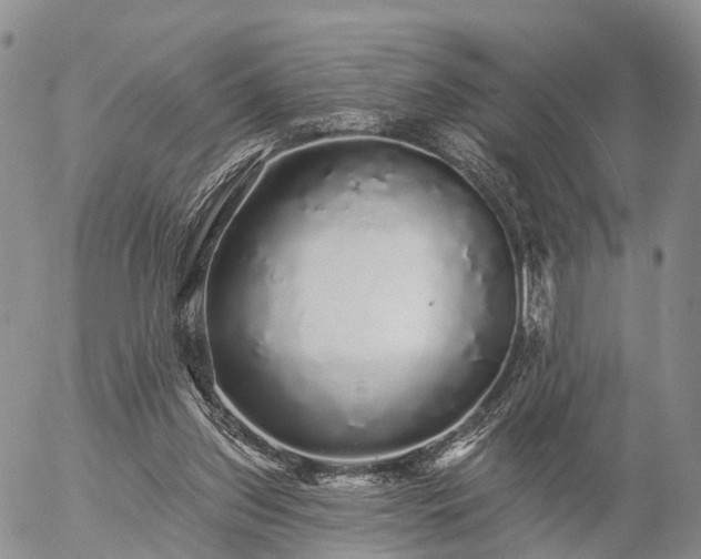 X0000057090157200509161638