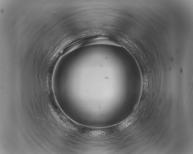 X0000057090158200509161638